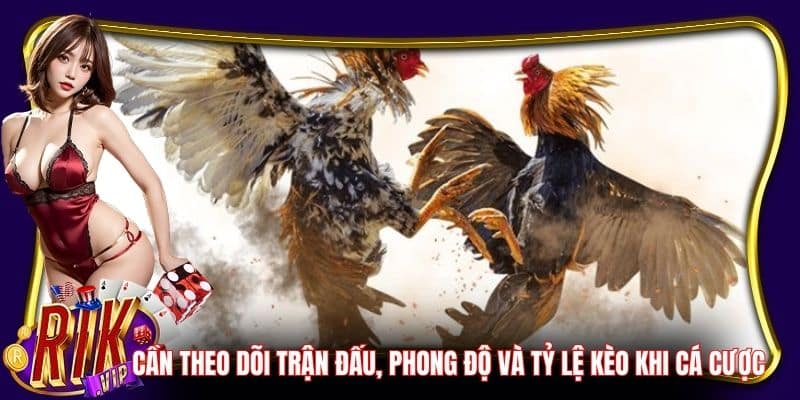 Cần theo dõi trận đấu, phong độ và tỷ lệ kèo khi cá cược