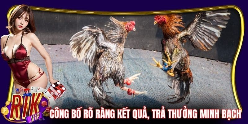 Cổng game công bố rõ ràng kết quả, trả thưởng minh bạch