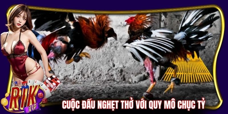 Cuộc đấu nghẹt thở được tổ chức với quy mô chục tỷ