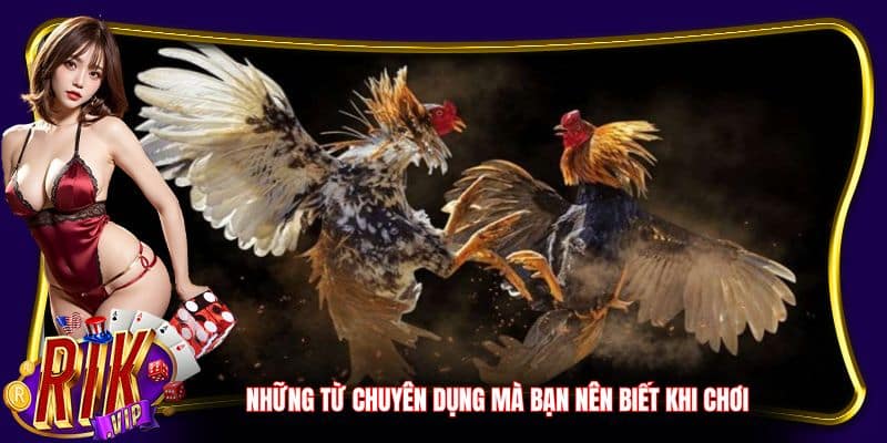 Những từ chuyên dụng mà bạn nên biết khi chơi