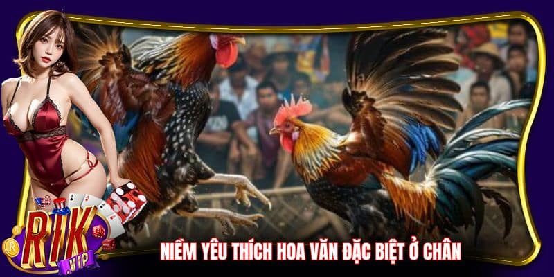 Niềm yêu thích hoa văn đặc biệt ở chân