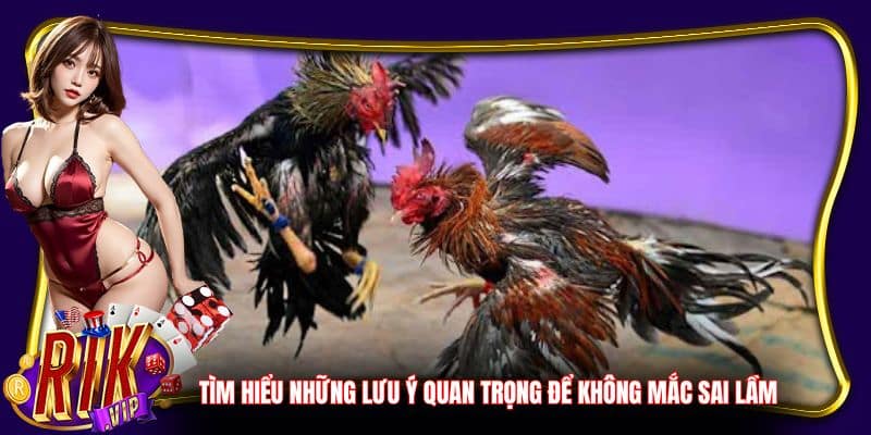 Tìm hiểu những lưu ý quan trọng để không mắc sai lầm