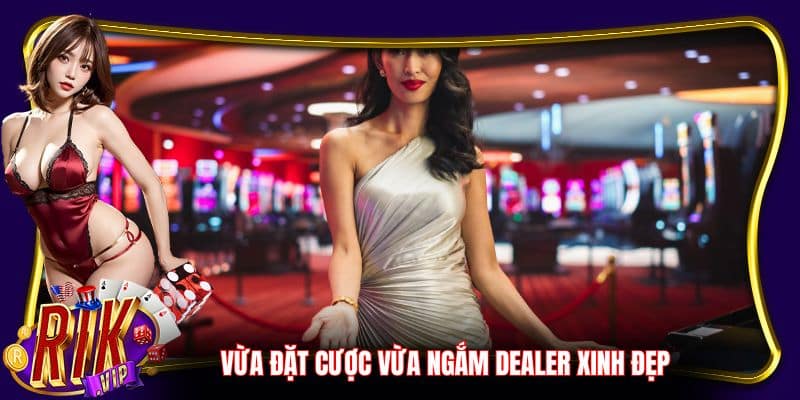 Vừa đặt cược vừa ngắm dealer xinh đẹp 