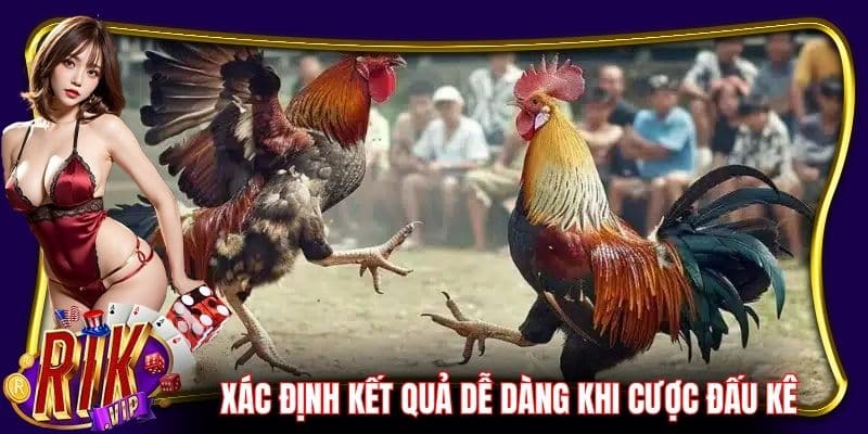 Xác định kết quả dễ dàng khi tham gia cược đấu kê