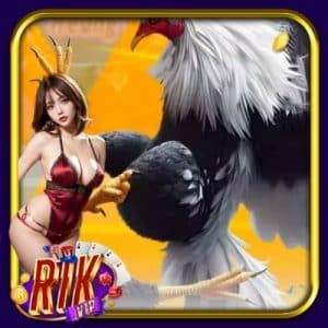 Trận Gà 24 Tỉ Nổ Tung Sới Ảo RikVip, Nghẹt Thở Từng Giây