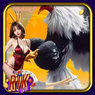Trận Gà 24 Tỉ Nổ Tung Sới Ảo RikVip, Nghẹt Thở Từng Giây